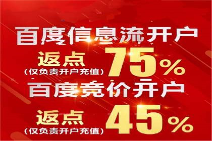 关键词竞价排名实战案例精选解析
